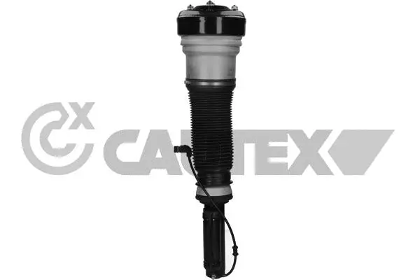Air Suspension Strut (751966)