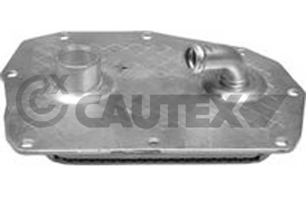 Oil Cooler, engine oil (768817)