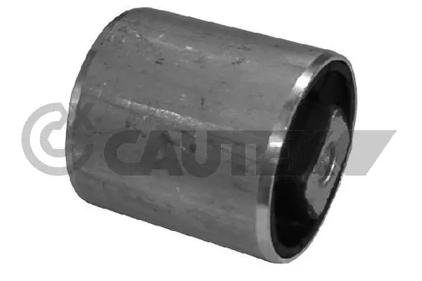 Mounting, control/trailing arm (200924)