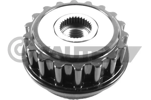Alternator Freewheel Clutch (767439)