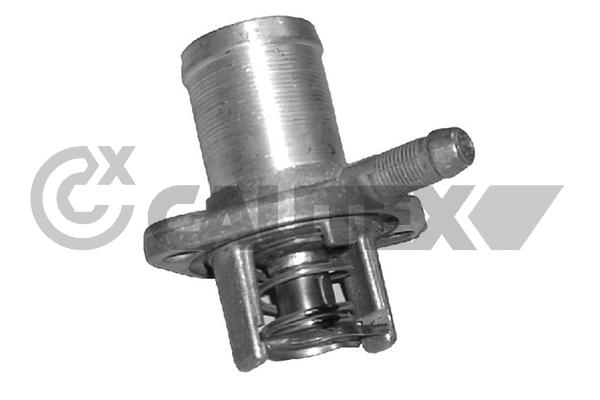 Thermostat, coolant (021114)