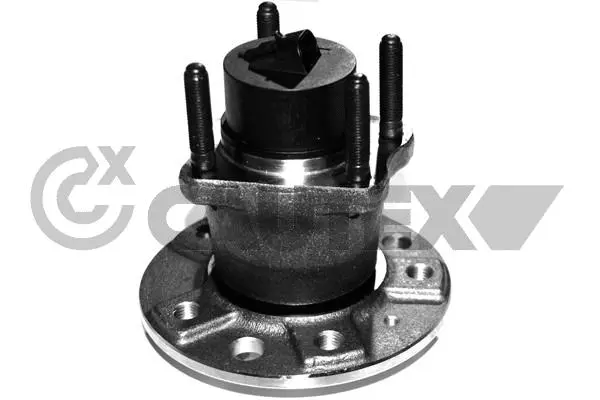 Wheel Hub (482551)