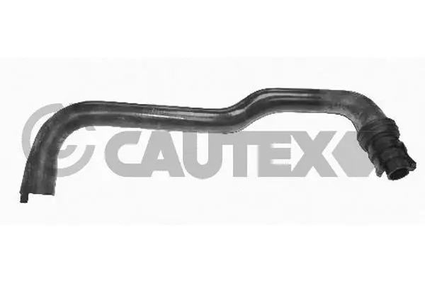Radiator Hose (036246)