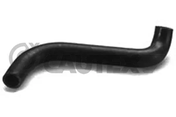 Radiator Hose (186014)