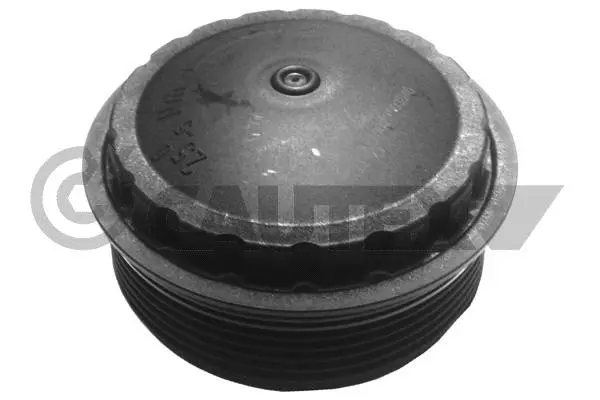 Cap, oil filter housing (081131)