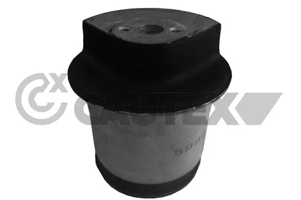 Bushing, axle beam (482566)