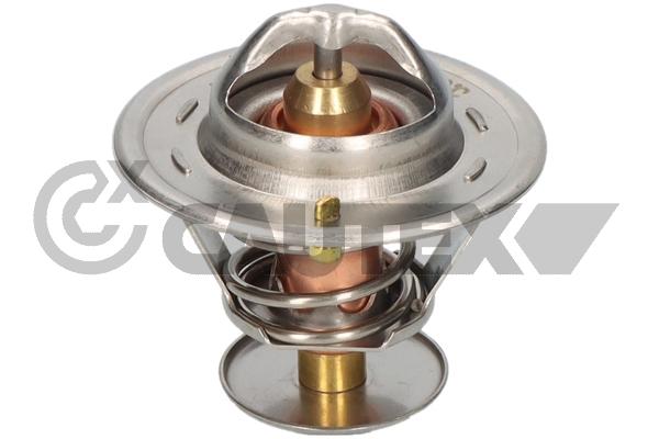 Thermostat, coolant (772139)