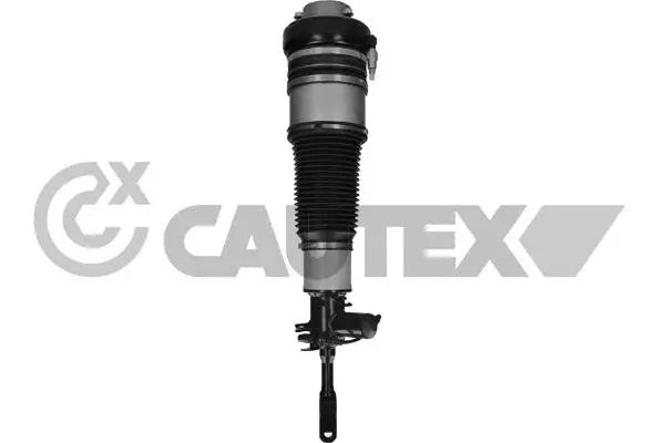 Air Suspension Strut (752171)