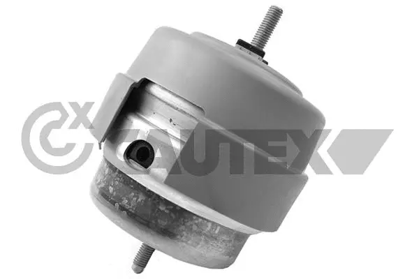 Mounting, engine (462624)