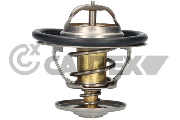 Thermostat, coolant (770197)
