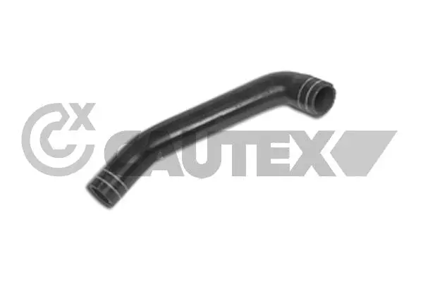 Radiator Hose (011351)