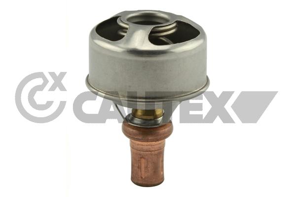 Thermostat, coolant (756904)