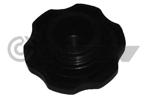 Sealing Cap, oil filler neck (954265)