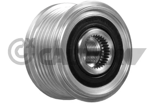 Alternator Freewheel Clutch (754694)