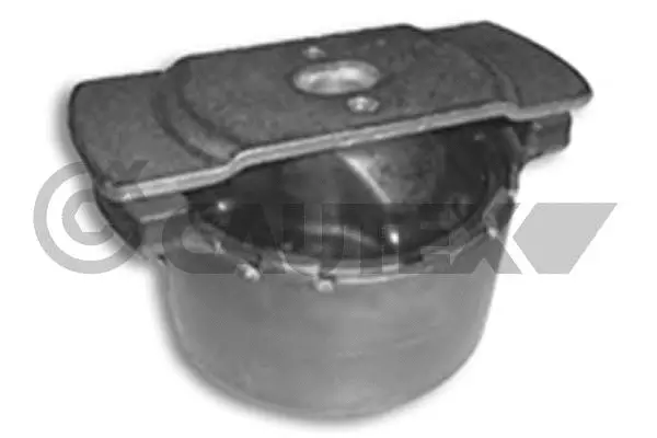 Bushing, axle beam (020533)