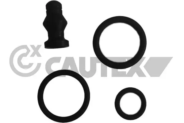 Repair Kit, unit injector (752355)