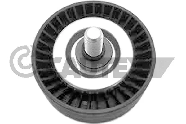 Deflection/Guide Pulley, V-ribbed belt (752436)