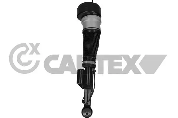 Air Suspension Strut (752125)