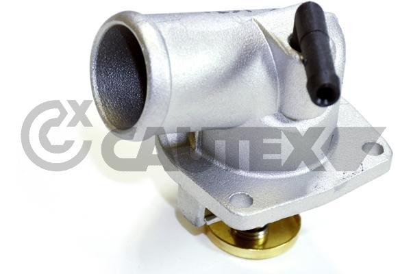 Thermostat, coolant (756870)