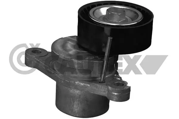 Belt Tensioner, V-ribbed belt (756836)