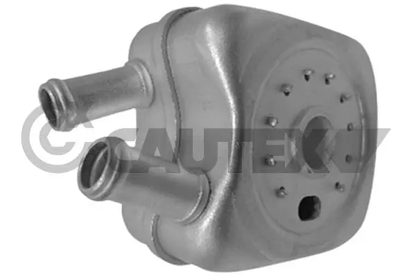 Oil Cooler, engine oil (462435)