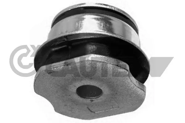 Bushing, axle beam (010761)