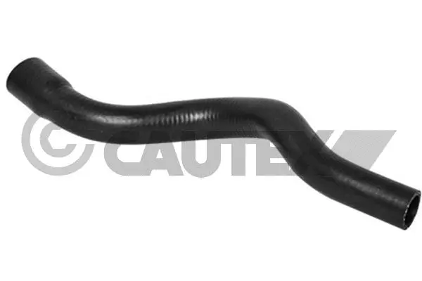 Radiator Hose (036761)