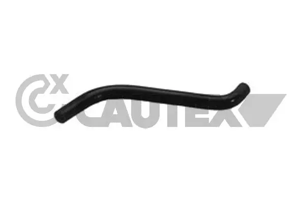 Radiator Hose (216005)