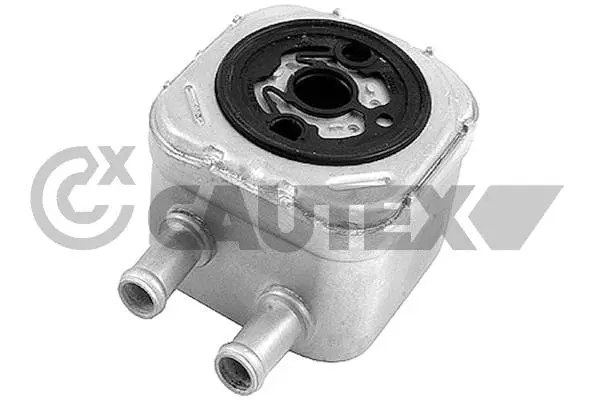 Oil Cooler, engine oil (462526)