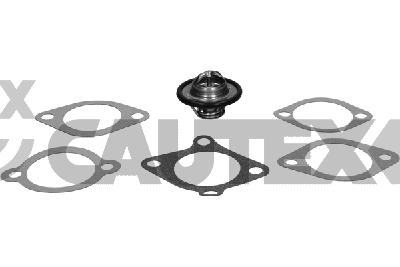 Thermostat, coolant (775409)