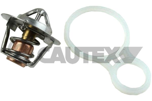 Thermostat, coolant (772149)
