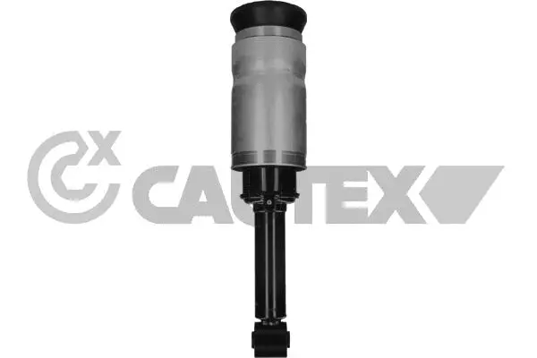 Air Suspension Strut (751948)