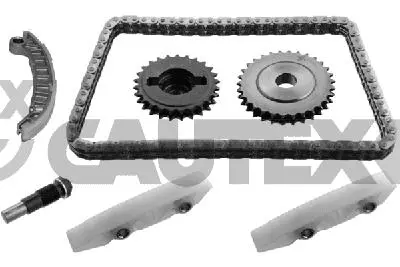 Timing Chain Kit (771447)