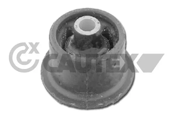Bushing, axle beam (461326)