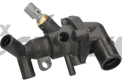 Thermostat, coolant (760706)