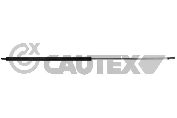 Gas Spring, boot/cargo area (773439)