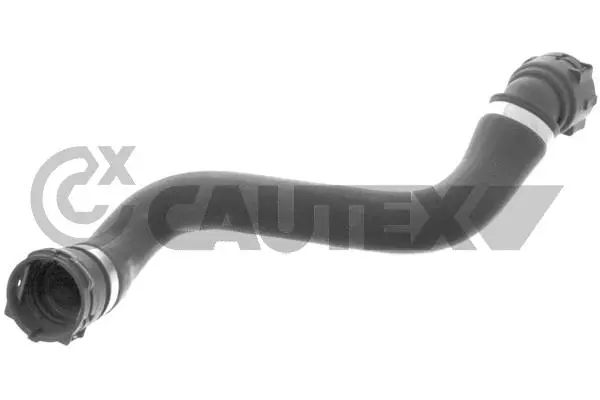 Radiator Hose (767531)