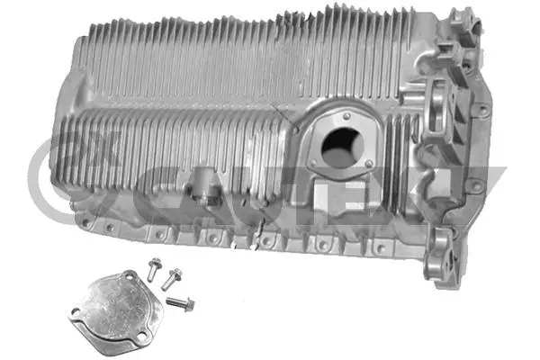 Oil Sump (462538)