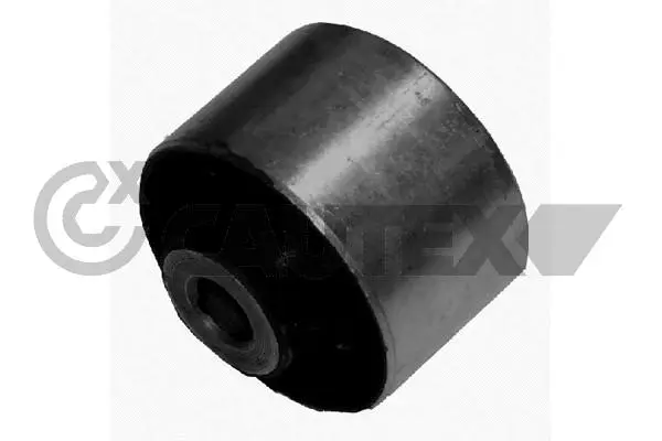 Mounting, control/trailing arm (021099)
