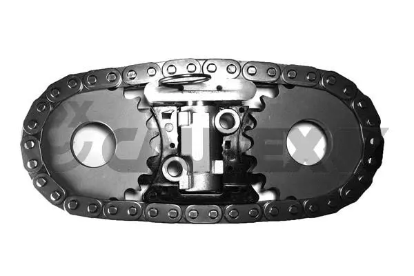 Timing Chain Kit (011268)