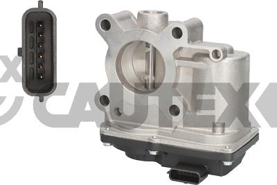 Throttle Body (766801)