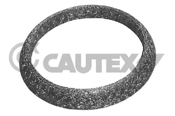 Seal Ring, exhaust pipe (751971)
