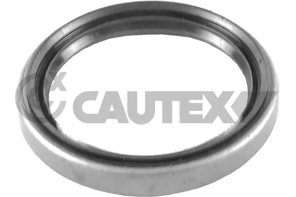 Shaft Seal, wheel hub (758575)