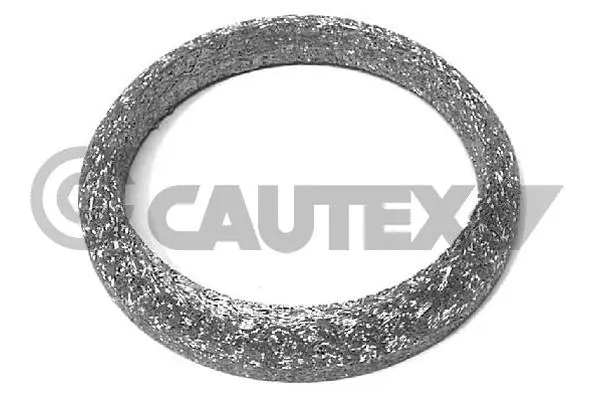 Seal Ring, exhaust pipe (751972)