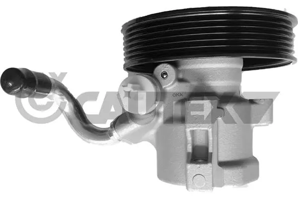 Hydraulic Pump, steering (768264)