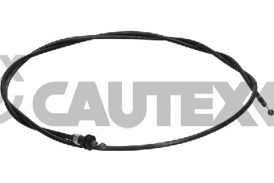 Bonnet Cable (763127)