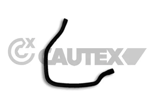 Radiator Hose (206017)