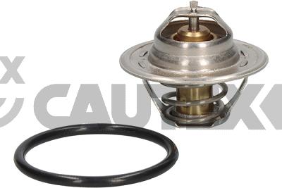 Thermostat, coolant (770202)