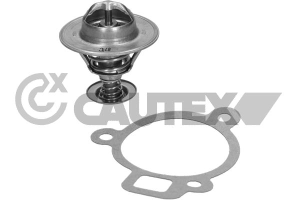 Thermostat, coolant (775415)