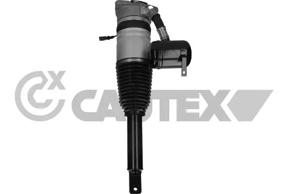 Air Suspension Strut (752015)